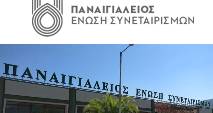 Παραμένοντας πιστοί στις αξίες μας, οραματιζόμαστε την τελειοποίηση του συνεταιριστικού μοντέλο και να εμπνεύσουμε τους παραγωγούς άλλων προϊόντων να το αγκαλιάσουν. Πιστεύουμε ακράδαντα ότι οι δίκαιες τιμές και η αποτελεσματική προώθηση μπορούν να επιτευχθούν παράλληλα με την βιώσιμη ανάπτυξη και τον διαμοιρασμό των κερδών πίσω στην κοινωνία. Αυτό είναι το όραμα μας. Να εξαπλώσουμε ανά τον κόσμο τα μοναδικά προϊόντα μας, αγκαλιάζοντας ταυτόχρονα τις αξίες της αλληλεγγύης, δικαιοσύνης, καλοσύνης και ενότητας.