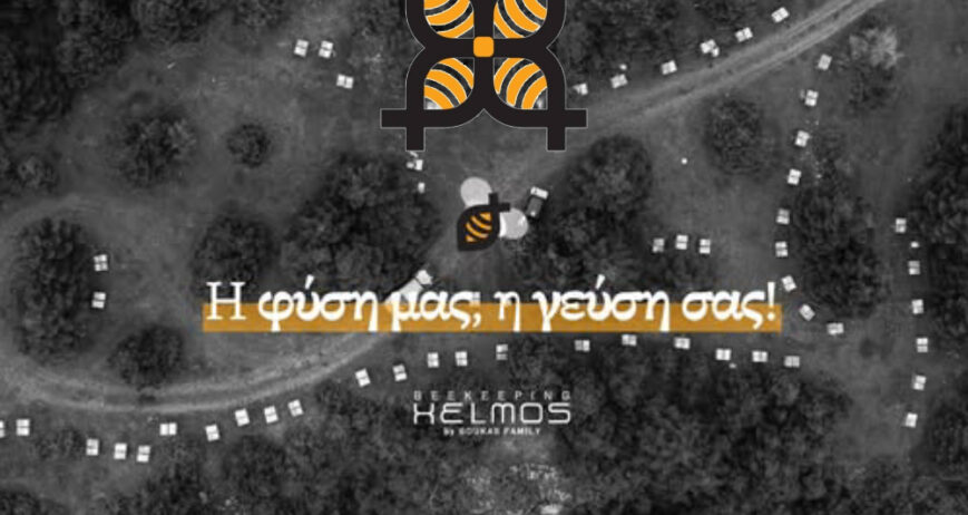 ΜΕΛΙΣΣΟΚΟΜΙΑ ΧΕΛΜΟΣ